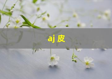 aj 皮